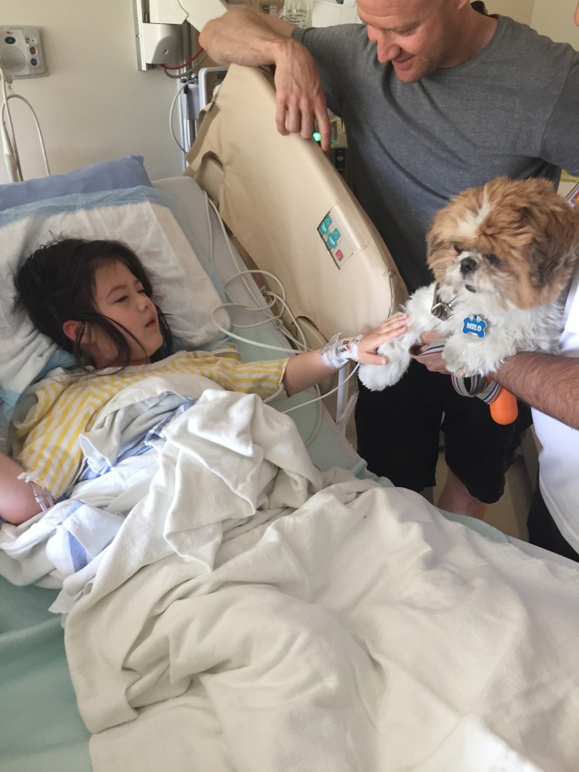 C0E2A3DE-88A9-4244-855D-BE2DA5AB8EC7